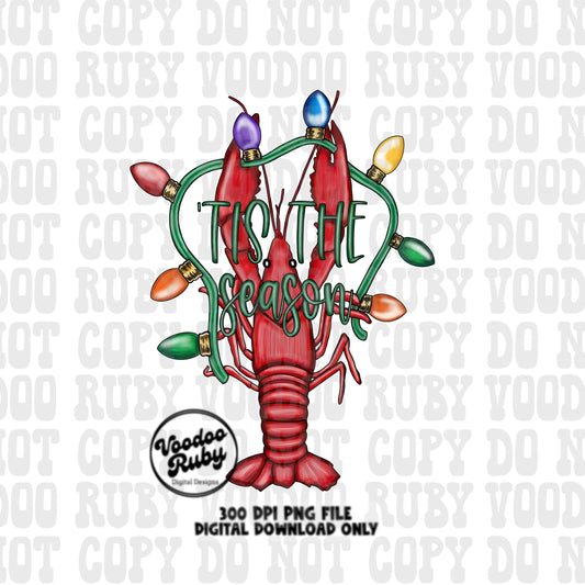 Christmas Crawfish PNG Design Merry Christmas png Hand Drawn Digital Download Tis The Season PNG Christmas Lights Cajun Christmas DTF